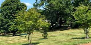 1502 THE WOODS Gallery 3