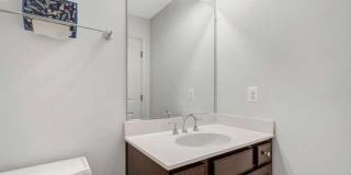 12258 SESSILE CMNS Gallery 23