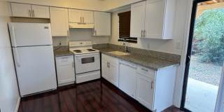 Pet-Friendly 2BR/1.5BA Near UofA & Banner UMC – Private Backyard & No Carpet Gallery 1