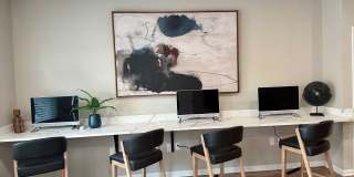 Marine Park Gallery 2