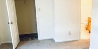 64 Isabella Ave Gallery 7