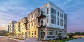 RiverHeath Willow Gallery 1