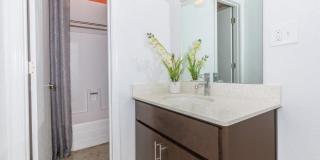 Treehouse Apartments Gallery 9