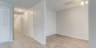 1140 Holli Springs Lane - Unit D Gallery 8