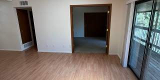 3 Bed 2 Bath Updated Unit in Robinwood Gallery 3