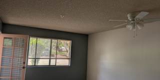 Whispering Oaks Senior Gallery 1