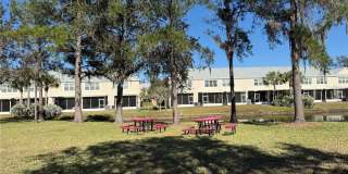 26627 CASTLEVIEW WAY Gallery 28