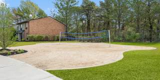 Renaissance Bay Gallery 15