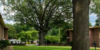 Allison Gardens Apartments Allison Gardens Apartments Gallery 12