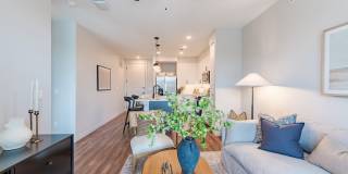 Tisdale at Lakeline Station Gallery 4