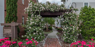 Cambria at Cornerstone Apartments Gallery 70