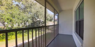 Palms of Clearwater Gallery 51