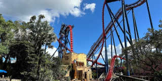 3324 BRIARWOOD LANE Gallery 29