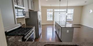 5004 FOREST PINES Drive Gallery 6
