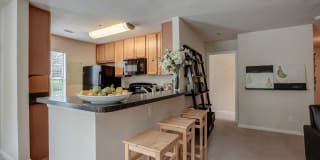 Cascades Overlook Gallery 17