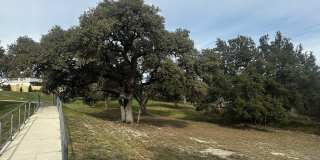 13107 Braxon Pass Gallery 23