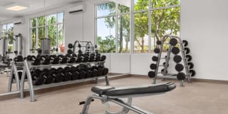 The Element Gallery 13