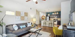 Platinum Shavano Oaks Gallery 20