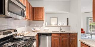 Perimeter Circle Gallery 3