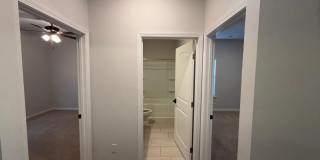 538 Wolf Trace Gallery 19