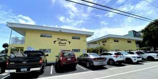Dolphin Beach Gallery 1
