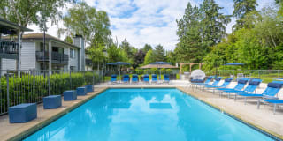 Jasper Square Gallery 1