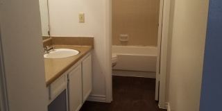 Forest Ridge Gallery 157