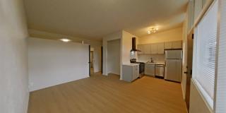 University Manor - Newly Renovated Units just a short walk from Campus! Gallery 79