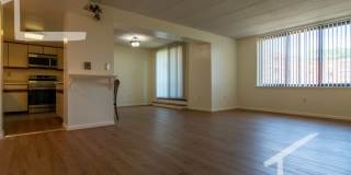 Huge 2 bed in Allston Gallery 6
