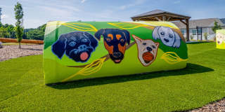 Cottages Of Monroe Gallery 16