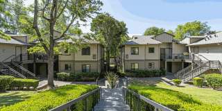 Larkspur Courts Gallery 24