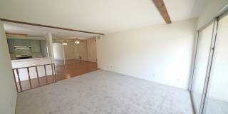 24525 Trevino Drive - 6 Gallery 3