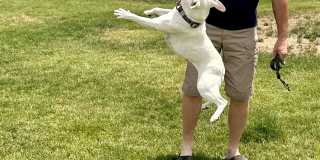 The Flats at Jasper Gallery 31