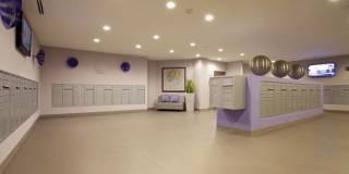 Torrey Gardens Gallery 34