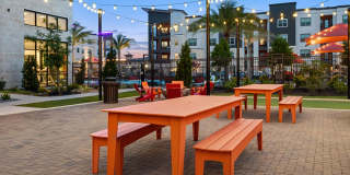 Hue on Greenhouse Gallery 12