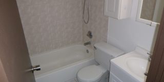 8647 1/2 W Foster Ave Apt 1B Gallery 13