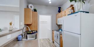 Canyon Vista Gallery 14