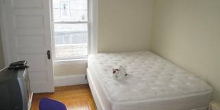 Renovated 5 Bed in Brighton – Central Air – W/D in Unit – 9/1 Move-In Gallery 6