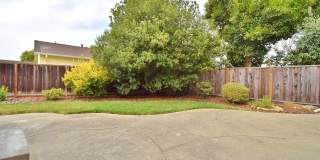 COMING SOON! | $3,990 /  BEAUTIFUL BROOKVALE HOME IN CENTRAL FREMONT Gallery 15