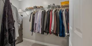 12902 CRICKMORE Trace Gallery 39