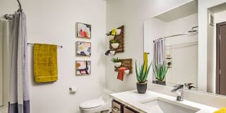 Domain Gallery 14