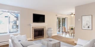 Avana Chestnut Hill Gallery 3