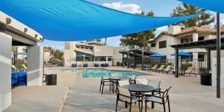 Vetra Chandler Gallery 14