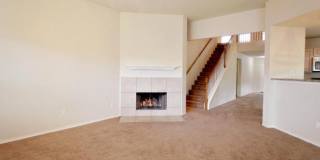 7326 Tamburo Gallery 17