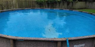 4 Bedroom Home with Large Family Room, Huge Fenced Yard, Workshop & Pool Gallery 25