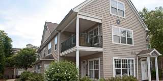 Everly Darien Gallery 24