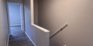 95 Shell Street Gallery 11