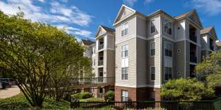 Alvista Bowie Gallery 37