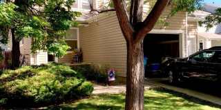 1723 Dove Creek Circle Gallery 16