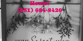 Palm Rose Gallery 8